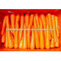 2012 fresh carrot specification